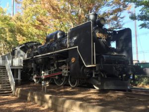 大蔵運動公園C57